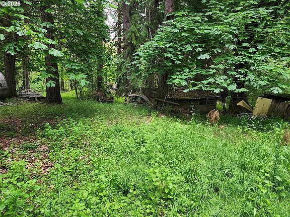 3rd image of 0 Louis Creek Rd