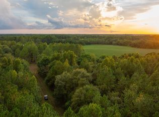 0 Nobles Rd, Pitts, GA 31072