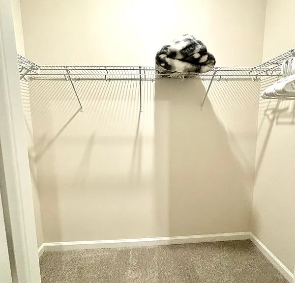 1243 Red Clover Ln — Photo 19
