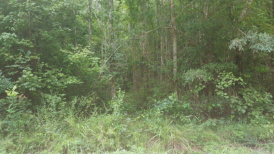 2nd image of 434 Shine Dirt Rd