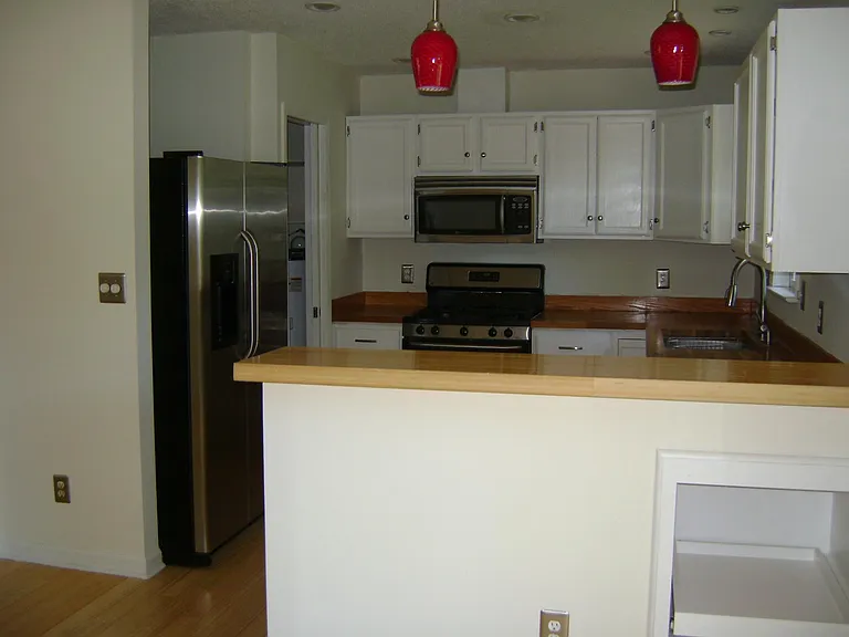 3203 Abbott Morris Ln — Photo 10