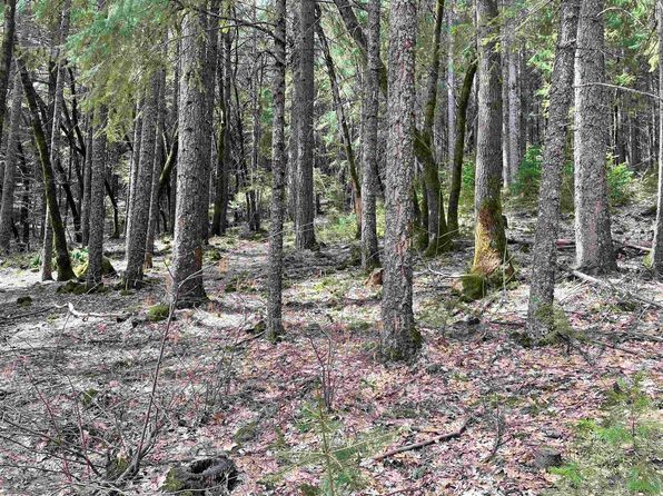 9 Simpson St #H, Dunsmuir, CA 96025