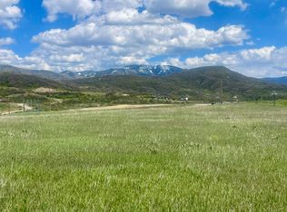 4125 Elk River Rd, Steamboat Springs, CO 80487