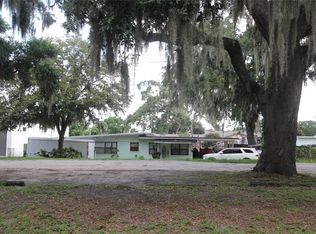 20 W Vick Ave, Oakland, FL 34760