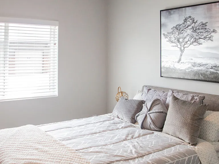 Latitude 41 — Photo 46