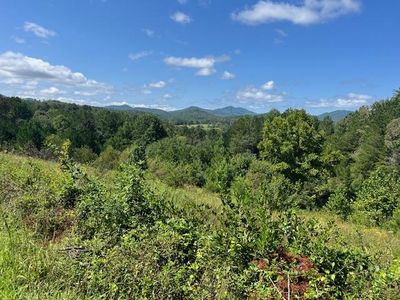 18 Saddle Ridge Dr, Warne, NC, 28909