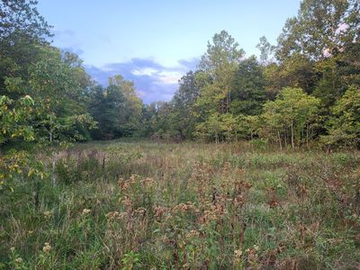 Tbd Lot 24  Enchanted Meadows, Ava, MO, 65608