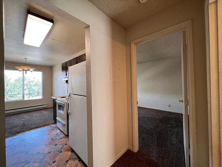 3935 Clear Acre Ln #210 — Photo 5