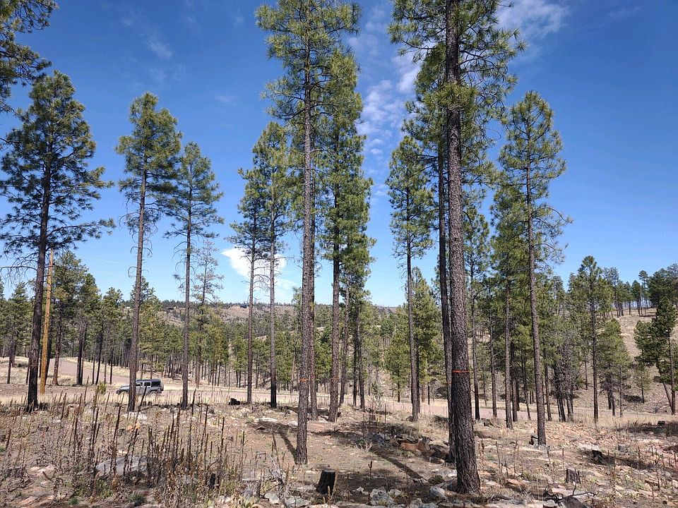 2nd image of 1023 Moqui Dr