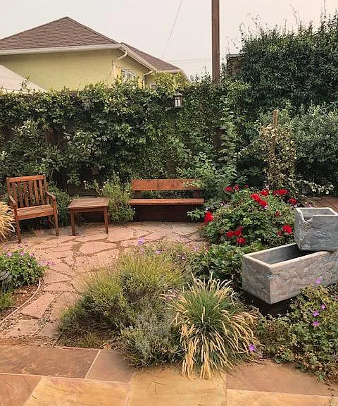 Landscaped backyard