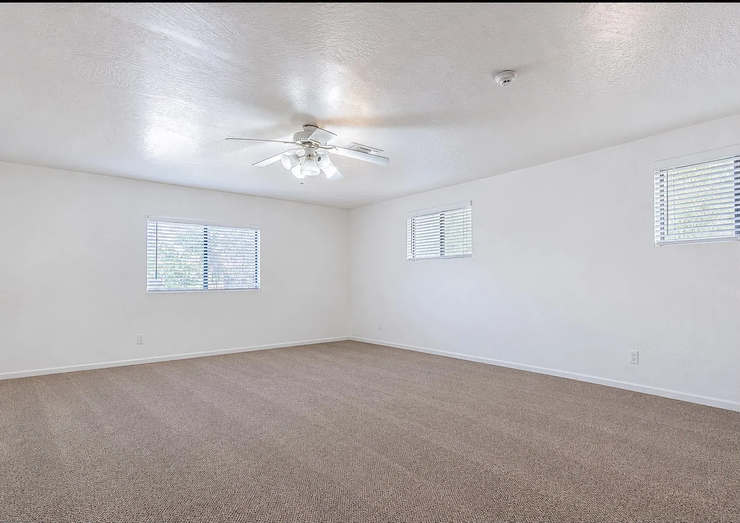 8 bed, 4898 sqft, $6,900 — Photo 4