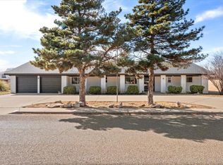 2046 Longhorn Dr, Levelland, TX 79336