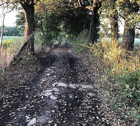 Driveway