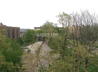 Rented by Absolute Properties of NYC