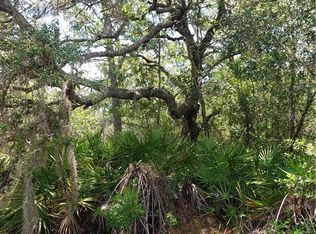 Cinnamon Ave, Eustis, FL 32736