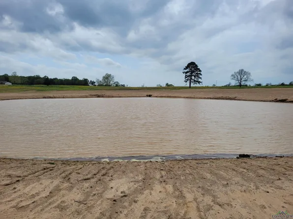 County Road 3211, Pittsburg, TX 75686