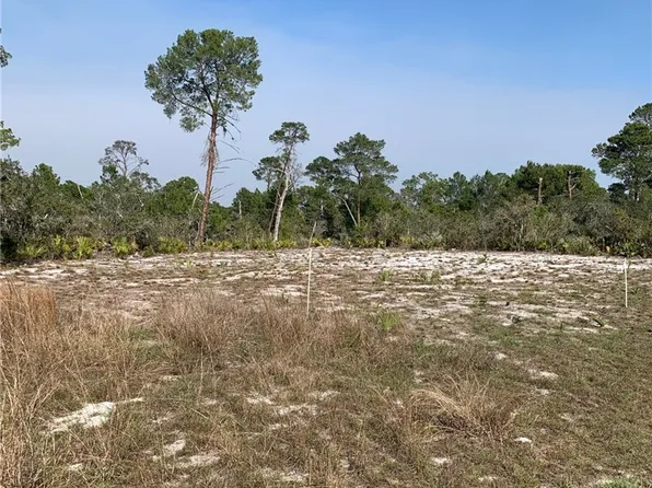 1249 Popinjay Ave, Lake Placid, FL 33852