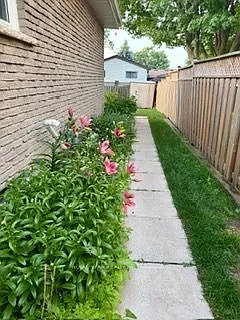 23 Cannon Ct — Photo 26