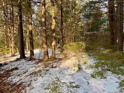 Map 9 Lot 87 Mary Rowe Drive, Hillsborough, NH, 03244