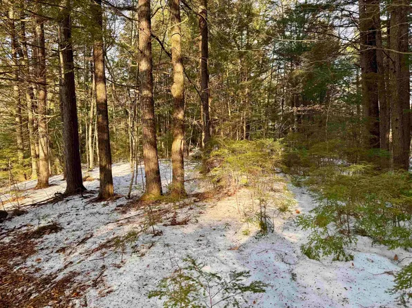 Map 9 Lot 87 Mary Rowe Drive, Hillsborough, NH 03244