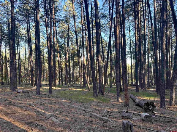 432 Blue Ridge Drive, Bayfield, CO 81122