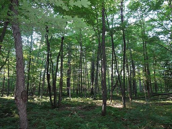 3rd image of ON S PRATT RD