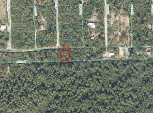 NE 230th Pl LOT 29, Fort Mc Coy, FL 32134