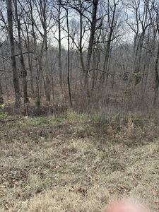 461 Ranger Rd, Beech Bluff, TN, 38313