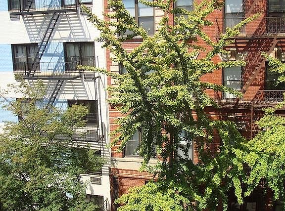 4th image of 103 Sullivan St APT 1B