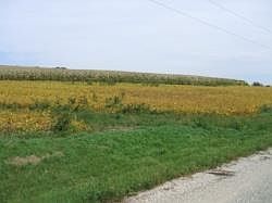 2nd image of 0 Laube Rd