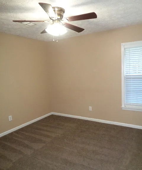 241 Magnolia Dr — Photo 5