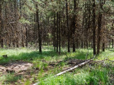 182 New Timber Ridge Trl, Marion, MT, 59925