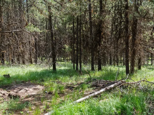 182 New Timber Ridge Trl, Marion, MT 59925