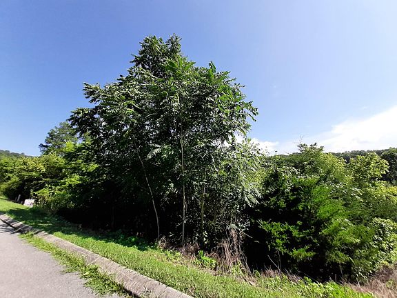 5th image of 0 Sandgate Dr Lot 90