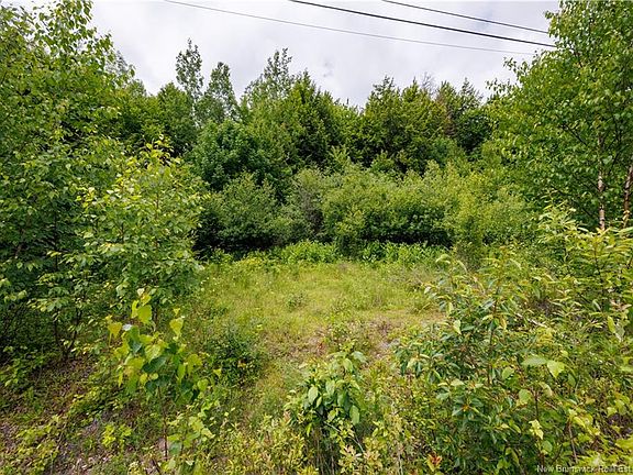 5th image of LOT Country Wood Ln