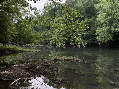 141 N Quail Ln, Murfreesboro, AR, 71958