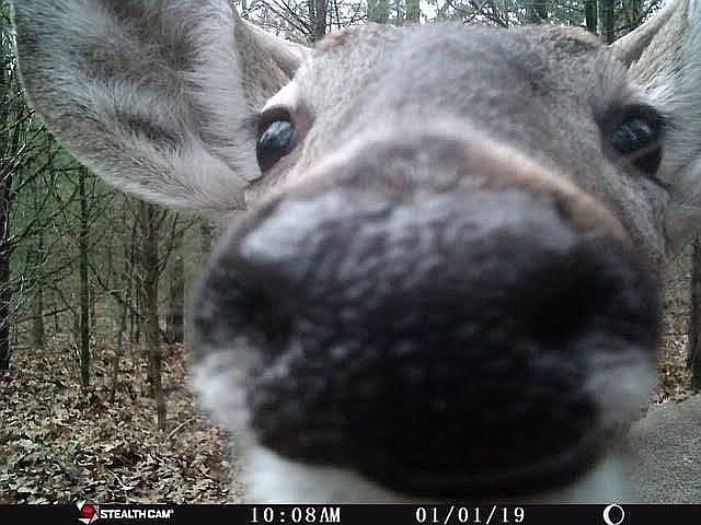 Back Yard Selfie