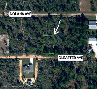 1822 Oleaster Ave, Sebring, FL, 33875