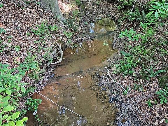 3rd image of 0 Ponderosa Trl