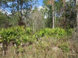 4758 Mahogany Blvd, Bunnell, FL 32110