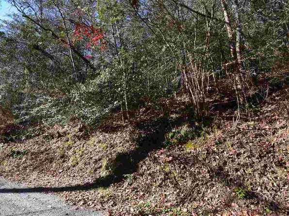 38 & 39 Rich Mountain Way, Sevierville, TN 37876