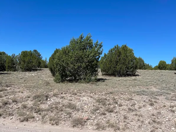 Ls43/31 36 N Anvil Rock Rd, Seligman, AZ 86337