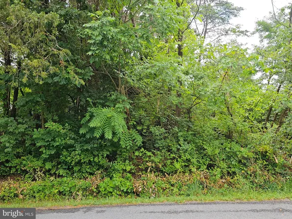 Woodward Ln, Front Royal, VA 22630