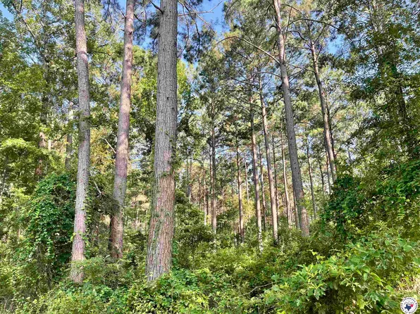 1112 Cr, Atlanta, TX 75551