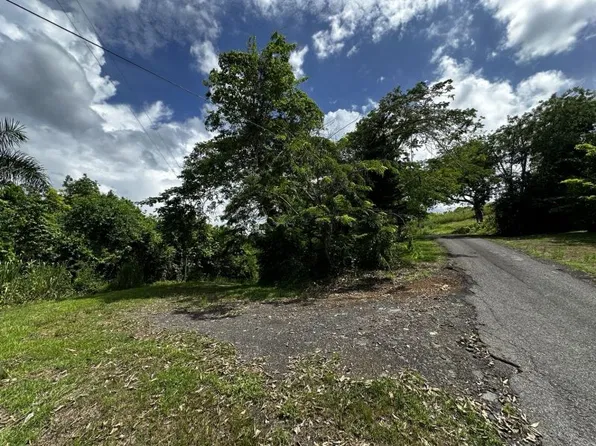 Bo Rio Lajas Carr 823 Solar 12, Toa Alta, PR 00953
