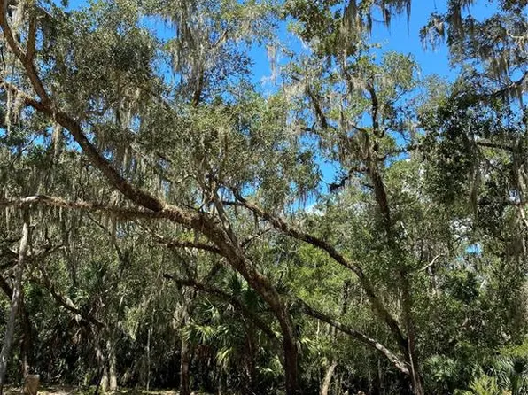 12641 W Amur Maple Pl Lot 5, Crystal River, FL 34428