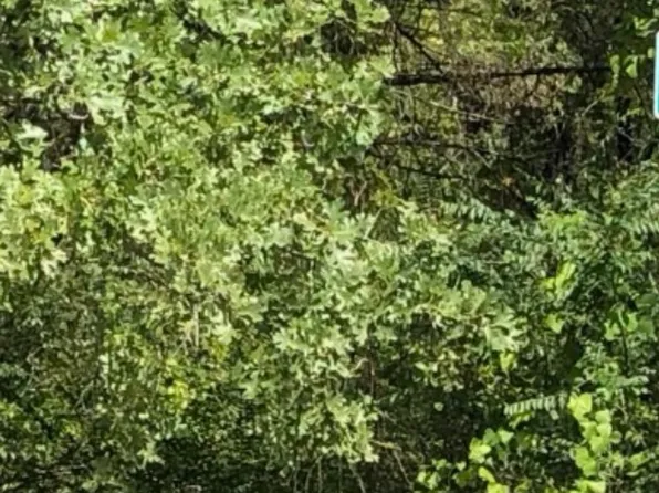 0 Cordoba St, Mabank, TX 75156