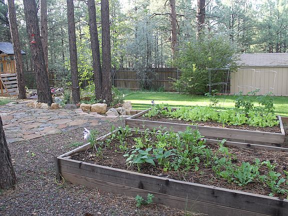 raised beds