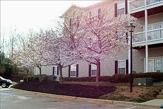 1st image of 134 McKenna Cir