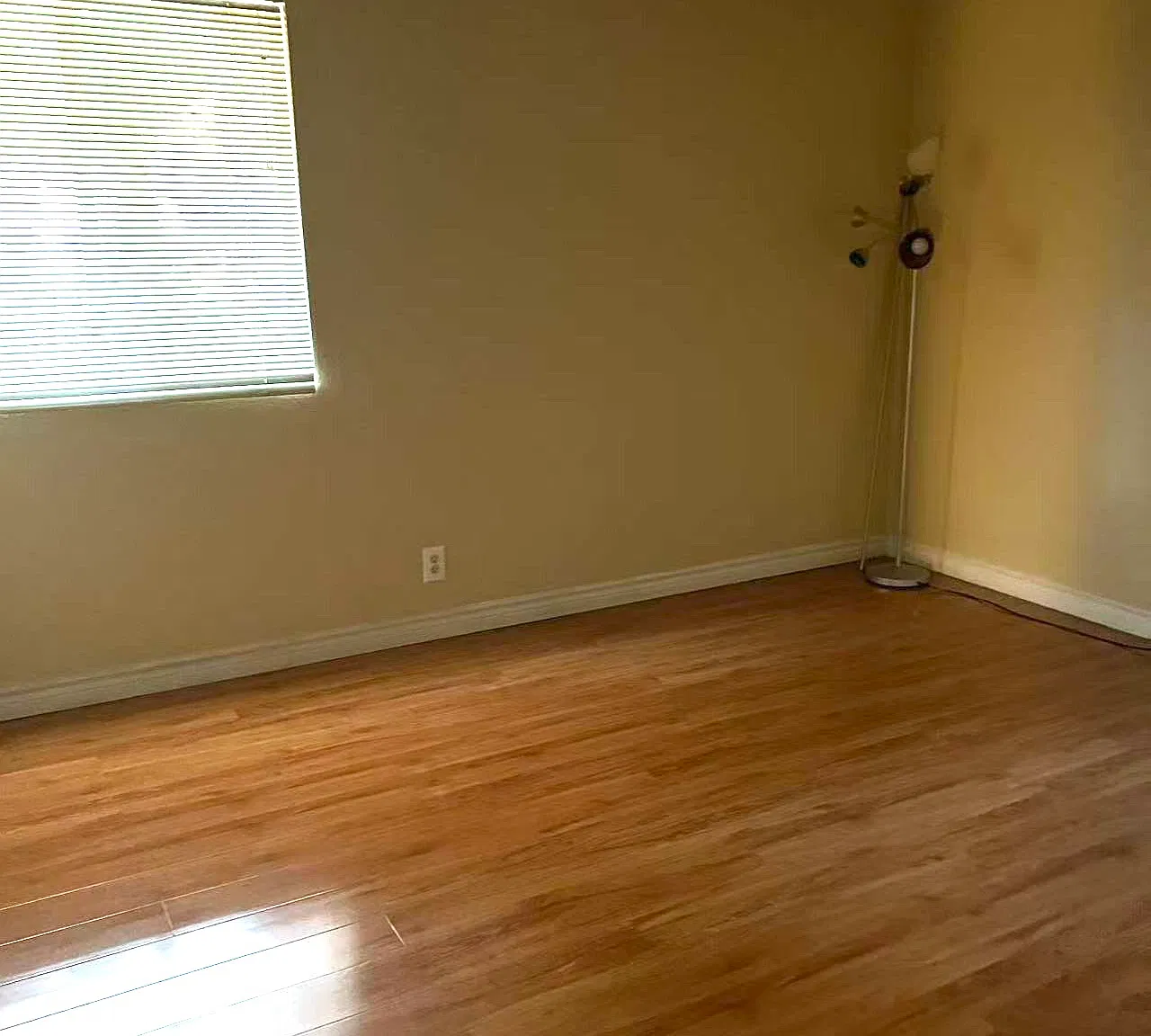 2 bed, 816 sqft, $1,100 — Photo 3